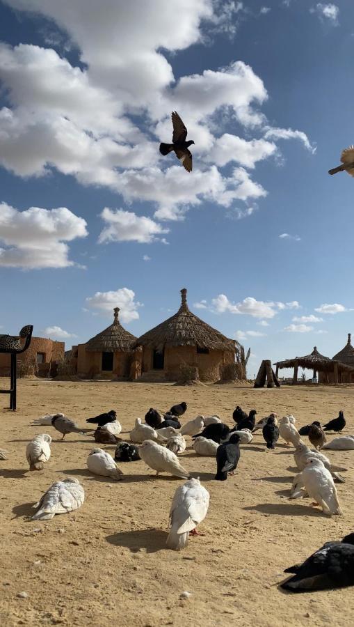 Taghaghien Island Resort Siwa Oasis Exterior photo